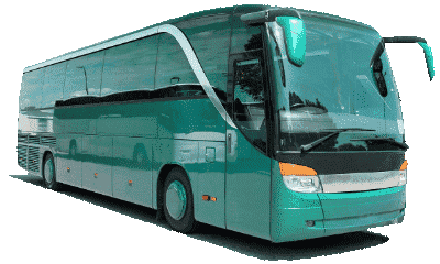 bus pariwisata